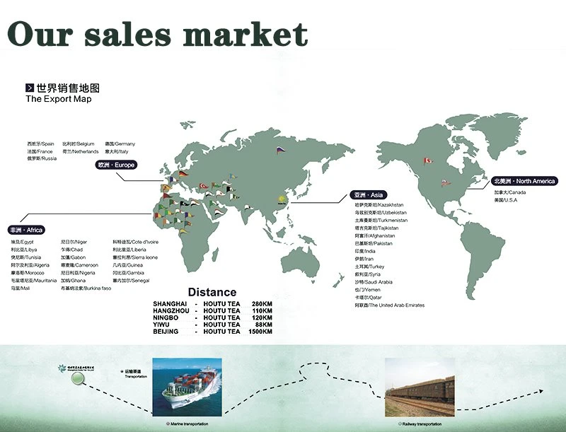 West Africa market reference for China Green Tea 3008 and 3009